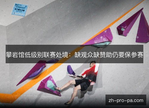 攀岩馆低级别联赛处境:缺观众缺赞助仍要保参赛 攀岩馆低级别联赛处境:缺观众缺赞助仍要保参赛